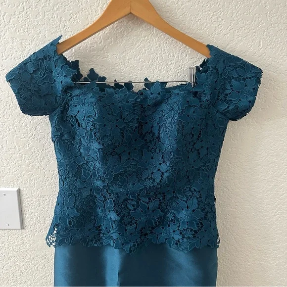 Ricki freeman for Teri Jon Lace Gazar Column Gown size 4 - Picture 2 of 6